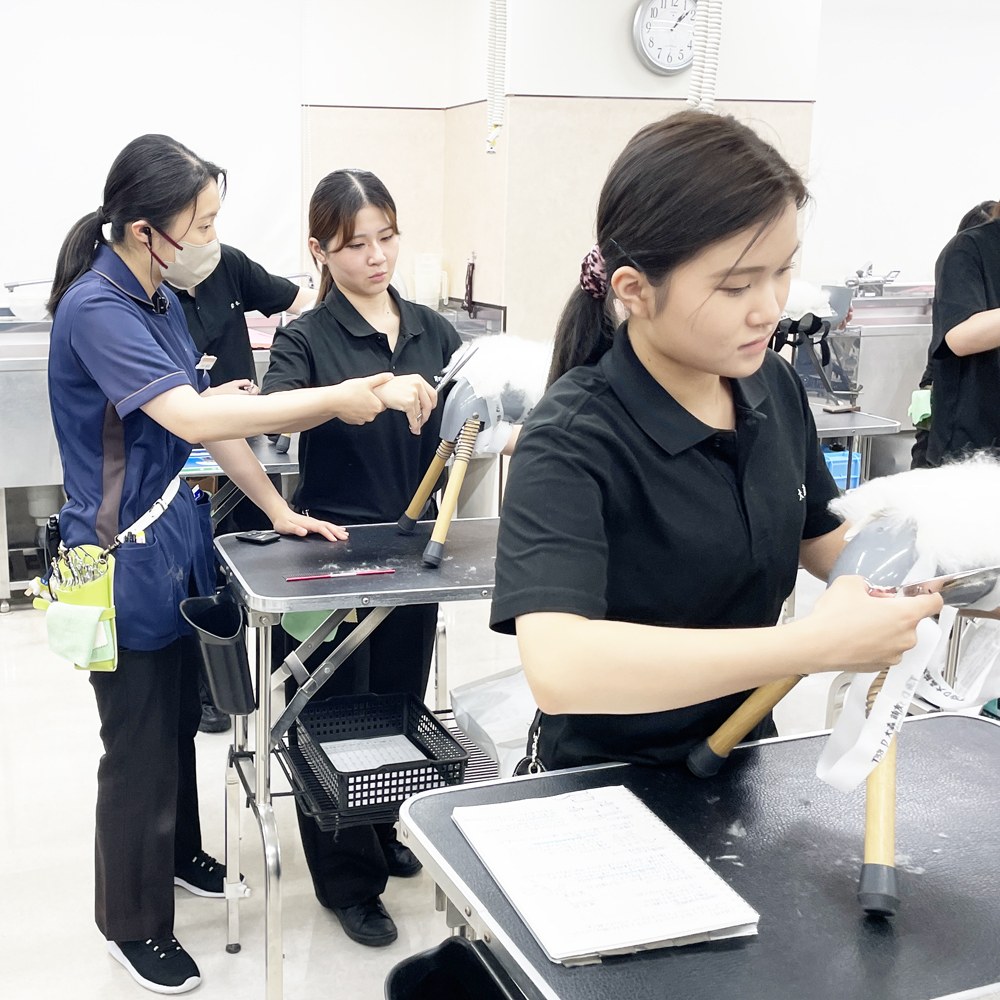 １年生はグルーミングとカット強化☆